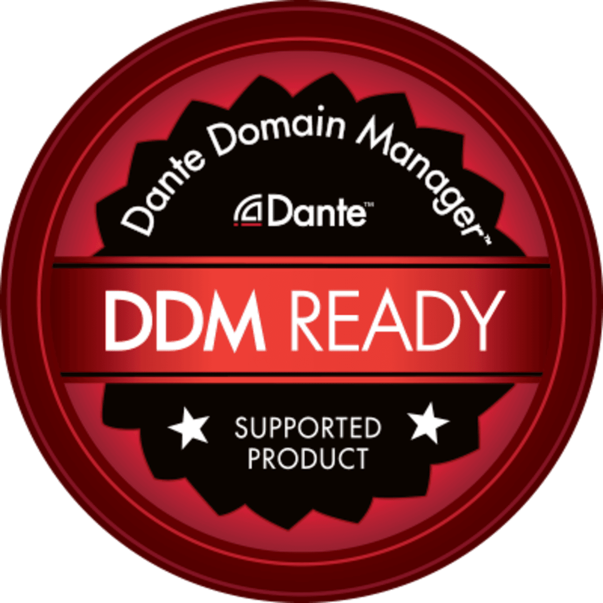 DDM Ready logo